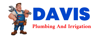 Trusted plumber in CURTISS